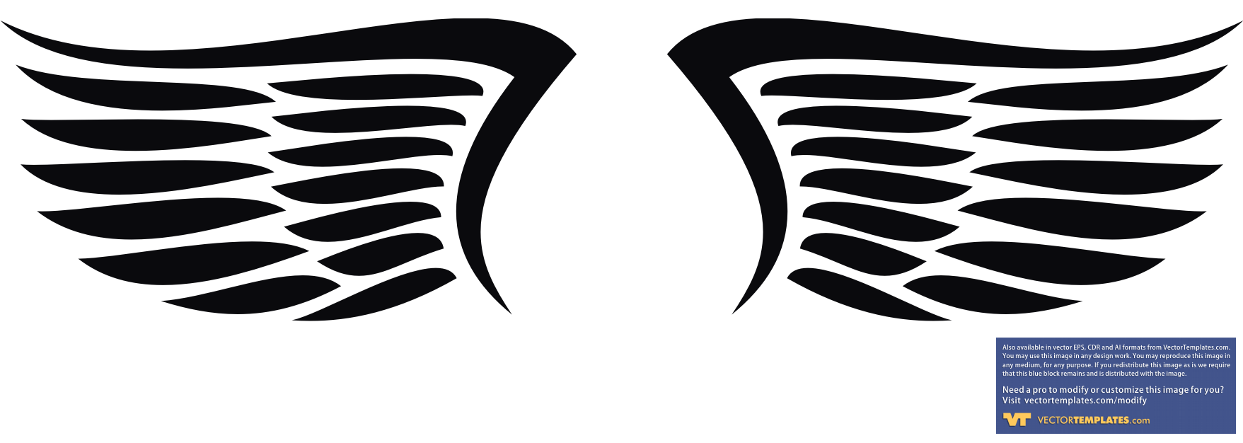 Eagle Wings Design 2