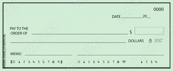 Blank Check Templates in Various Formats (Word, PDF, Excel)