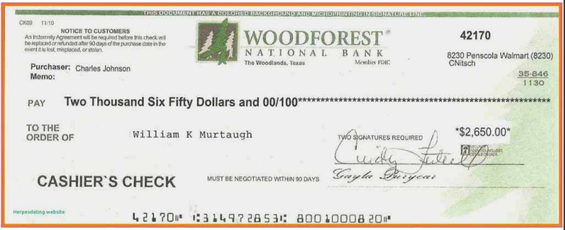 Fillable Blank Check Templates