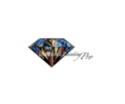 Diamond Painting Pro